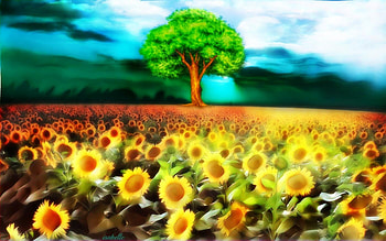 Brilliance of Nature , Tree, weather, Nature, Fantasy, brilliance, sunflowers, field, clouds, sky HD wallpaper