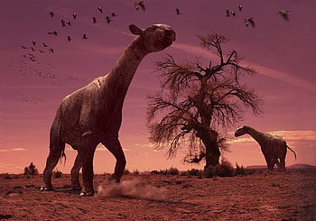 Prehistoric Planet, Where to watch, TV series, Stream HD wallpaper