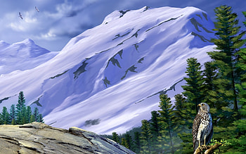 Birds, Mountains HD wallpaper