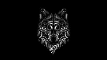 Art, Fox, Lines, Bw, Chb HD wallpaper
