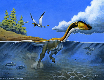 swim track, blue, colorful, bird, dino, 3d, abstract, clouds, sky, water HD wallpaper