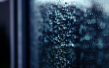 Rain, Drops, Macro, Bokeh, Boquet HD wallpaper