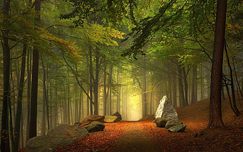 Super Path HD wallpaper