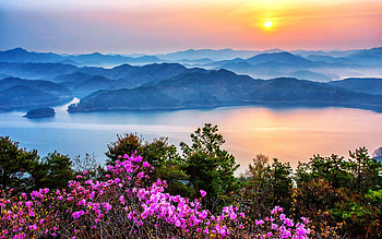 Daejeon Nogyo, Korea HD wallpaper