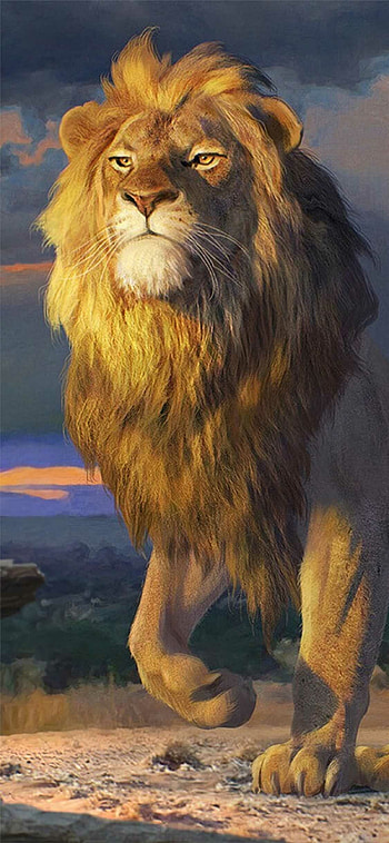 Lion , Intense stare, Golden mane, Tranquil background HD phone wallpaper