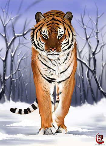 Art, Snow, Predator, Big Cat, Tiger HD phone wallpaper