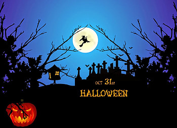 October 31st, night, halloween, cemetery, scary, with, pumpkin, bats, dark HD wallpaper