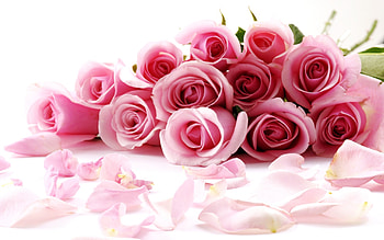 Pin Day Disney Valentine Valentines Roses on Pinterest HD wallpaper