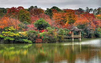 Japanes Nature, water, forest HD wallpaper