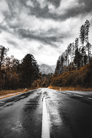 Nature, Mountains, Road, Forest, Wet, Asphalt HD phone wallpaper