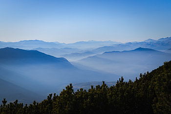 Nature, Fog, Spruce, Fir, Hills, Dahl, Distance HD wallpaper