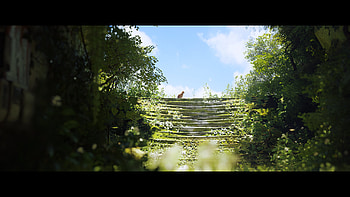 stray 1, video game, Stray HD wallpaper