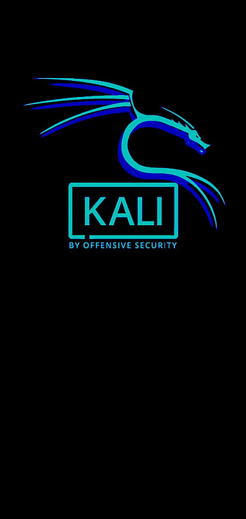 Kali Linux Pale Top, tech, hacking, hacker, blue, dragon HD phone wallpaper