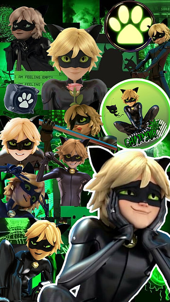 Cat noir fondo2, gato, verde, arte HD phone wallpaper