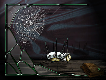 spider HD wallpaper