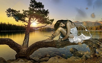 lonely woman, branch, river, woman, tree HD wallpaper