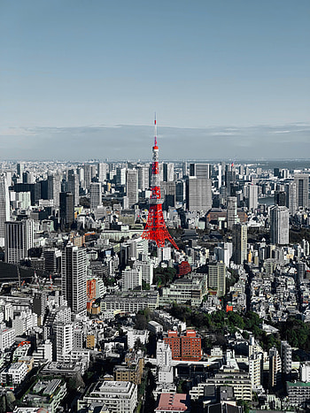 Cities, City, Building, View From Above, Tower HD phone wallpaper