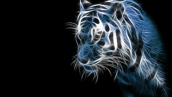 Detroit Tigers 1920x1080 HD wallpaper