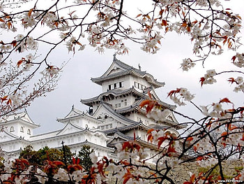 Himeji Castle in Japan, blue, white, architecture, build, himeji, japan, chinese, tree, leaves, red, sky, castle, blossom HD wallpaper