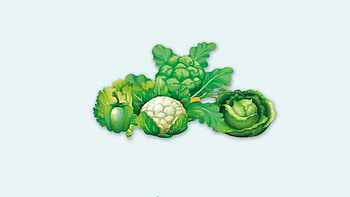 Greens, Nutritional benefits, Daily consumption, Healthy lifestyle HD wallpaper