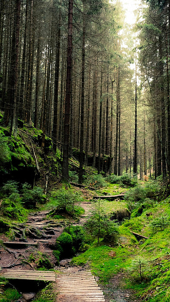 Nature's beauty, Captivating landscapes, Serene scenery, Breathtaking vistas HD phone wallpaper