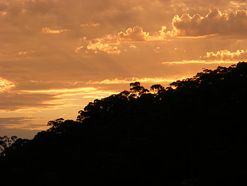 Nature, Trees, Sunset, Twilight, Clouds, Dusk HD wallpaper