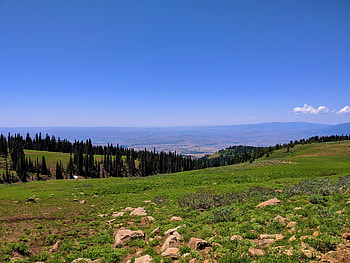 Nature, Grass, Stones, Fir, Spruce, Hills, Dahl, Distance HD wallpaper