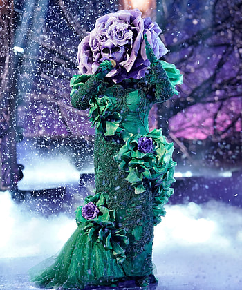 Masked Singer Germany season 2, Costume surprise, Best covers, Thrilling performances HD phone wallpaper