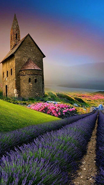 Beautiful For, Background HD phone wallpaper