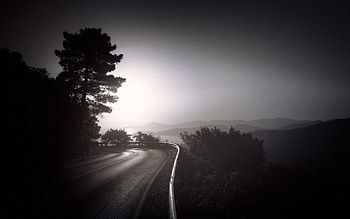Dark Road, dark, road, nature, monochrome, black-and-white HD wallpaper