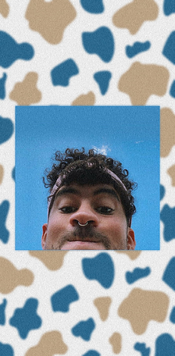 cute bad bunny wallpap, badbunny, benito, conejomalo HD phone wallpaper