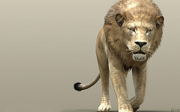 3D Lion Screensavers HD wallpaper
