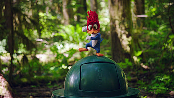 Woody Woodpecker, Stream on Rakuten TV, Animated comedy, Bird's mischievous antics HD wallpaper