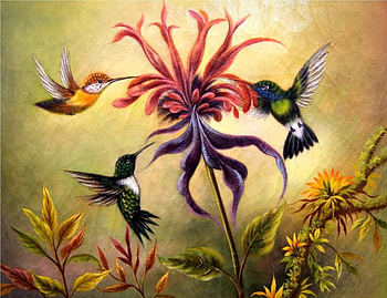 Hummingbirds, artwork, birds, painting, blossoms, flower HD wallpaper
