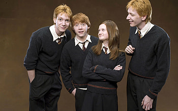 Harry Potter, Rupert Grint, Film HD wallpaper