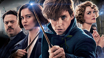 Newt Scamander, , Background HD wallpaper