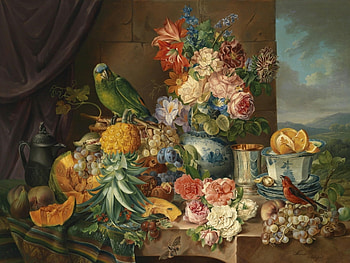 Birds, Parrots HD wallpaper