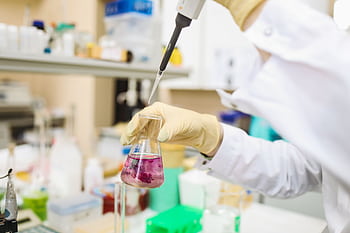 Scientist using a pipette for chemical analysis in a modern laboratory. HD wallpaper