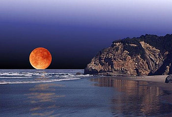 Autumn Moon, sky, orangemoon, harvest moon, sunset, ocean, beach HD wallpaper