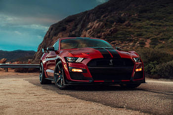 2020 Ford Mustang Shelby GT500, ford-mustang, shelby, ford, 2019-cars, cars HD wallpaper
