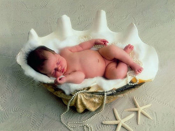 baby, anne geddes, shell, pearls, sleep HD wallpaper
