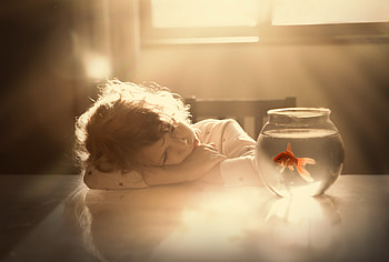 Little girl, childhood, blonde, fair, nice, adorable, fish, bonny, sunset, sweet, Belle, white, window, Hair, girl, comely, sightly, pretty, tabel, face, lovely, pure, child, graphy, cute, baby, , Nexus, beauty, Table, kid, room, beautiful, people, little, pink, princess, dainty HD wallpaper