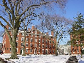 Harvard, university, beautiful, snow, tree HD wallpaper