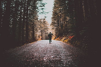 A lone traveler runs down a scenic forest dirt road, surrounded by tall trees. HD wallpaper