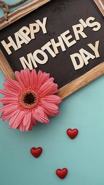 Mothers Day, Pink Flower, Background HD phone wallpaper