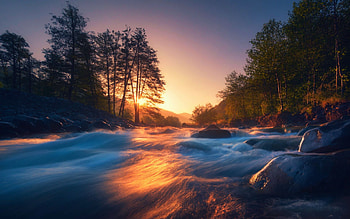 Forest Stream At Dawn, sky, sunrise, river, trees, autumn, stones HD wallpaper
