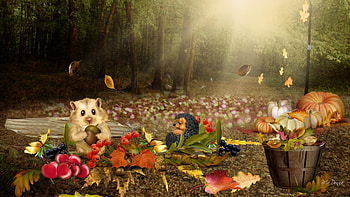 Preparing for Winter, hedgehog, colors, mist, leaves, seasonal, autumn, artwok, forest, sunset, squirrel HD wallpaper