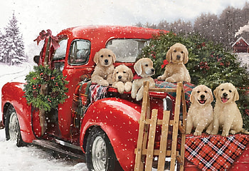 :), winter, dog, craciun, art, car, cute, puppy, iarna, christmas, red, vintage, caine HD wallpaper