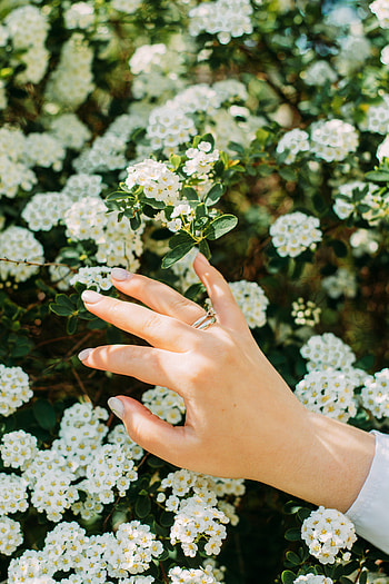 Flowers, Hand, Miscellanea, Miscellaneous, Bloom, Flowering, Ring HD phone wallpaper