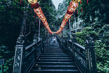 Nature, Trees, Ladder, Stairs, Climb, Lift, Chinese Lanterns HD wallpaper